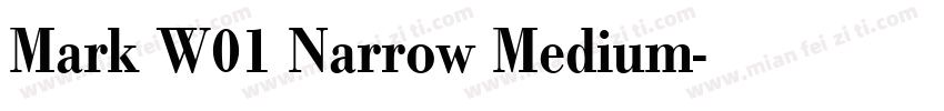 Mark W01 Narrow Medium字体转换